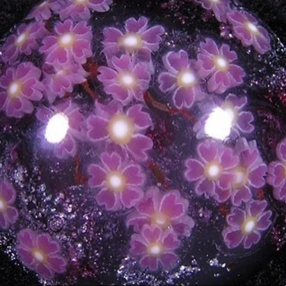 Meet your Posher, Atyanna - Picture 1 of 1